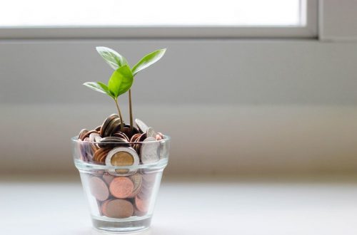 En lille grøn plante vokser op fra et glas fyldt med mønter.