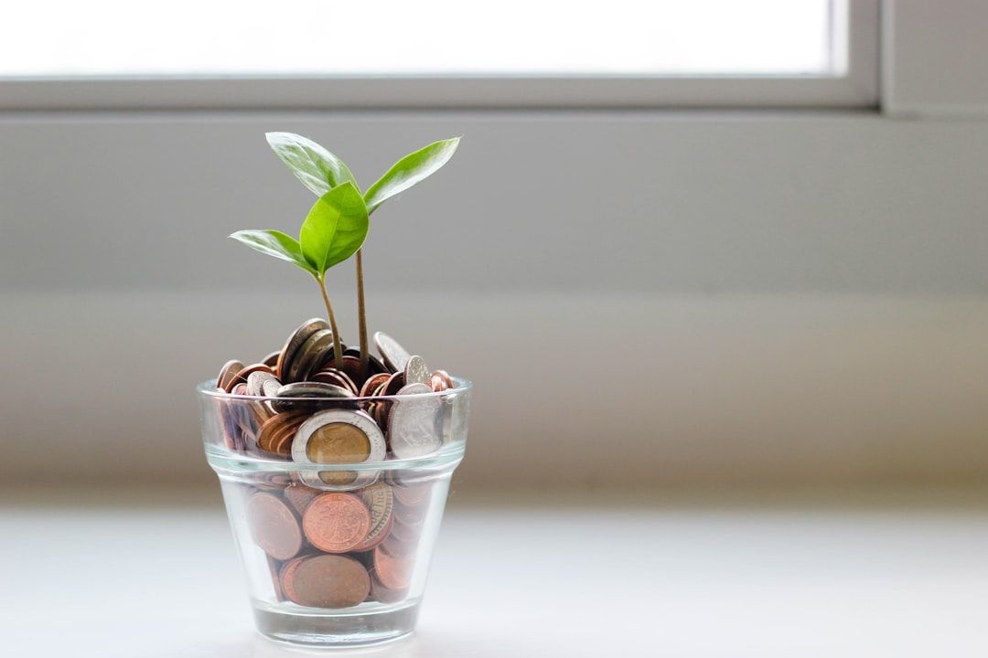 En lille grøn plante vokser op fra et glas fyldt med mønter.