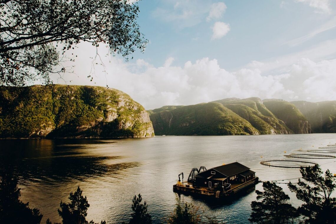 Fjord med grønne klipper, flydende anlæg og bjerglandskab