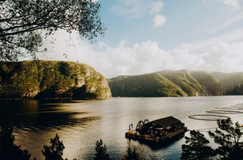 Fjord med grønne klipper, flydende anlæg og bjerglandskab